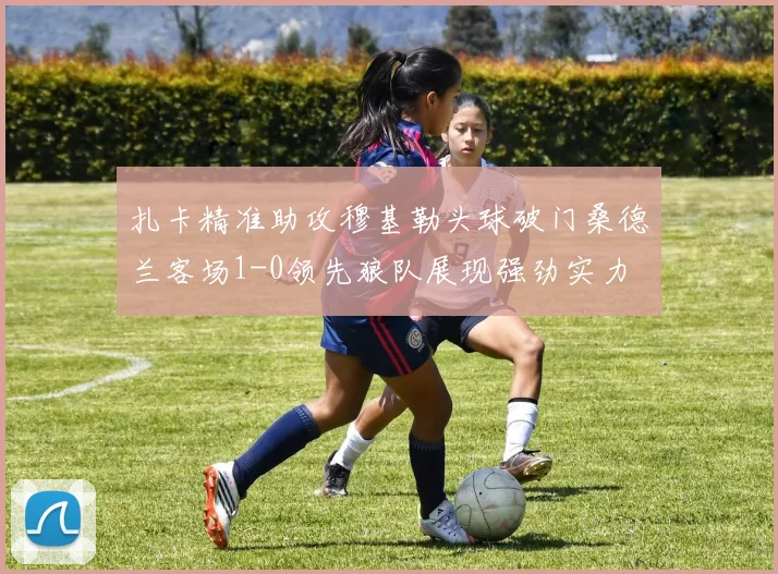 扎卡精准助攻穆基勒头球破门桑德兰客场1-0领先狼队展现强劲实力
